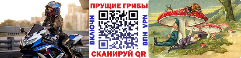 Псилоцибиновые грибы GOLDEN TEACHER Нефтегорск