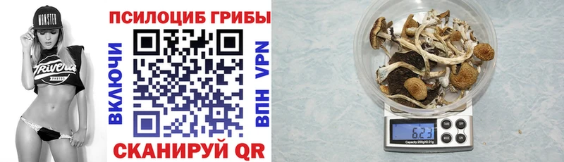 MEGA как зайти  Нефтегорск  Галлюциногенные грибы Psilocybine cubensis 